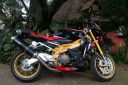 Aprilia-National-1.jpg